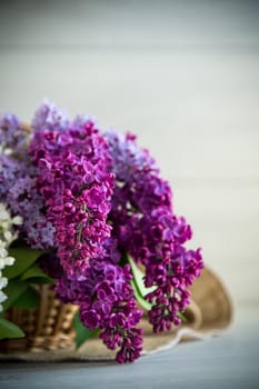 Bouquet of beautiful spring lilacs in dark purple color on a wooden table