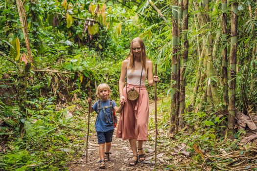 Family in hiking. Mom and son walking in the forest with trekking sticks.