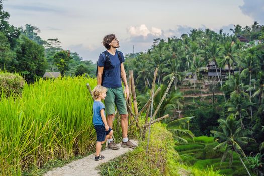 Dad and son on the rice field in the background of rice terraces, Ubud, Bali, Indonesia. Traveling with children concept. Teaching children in practice.
