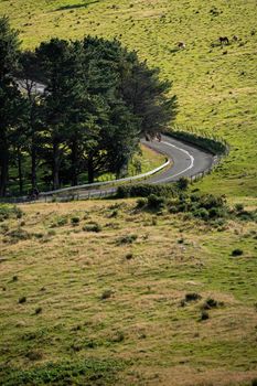 Empty countryside road turns to the left. Green meadow with grazing horses. Spain, Basque Country.