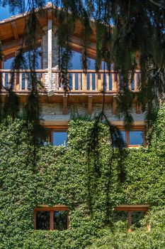Facade of a house covered with greenery. View through the branches of tree