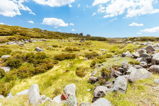 Landscape around the Langford Gap trailhead near Falls Creek in the Victorian Alps, Australia