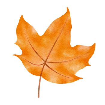 autumn maple leaves watercolor style.