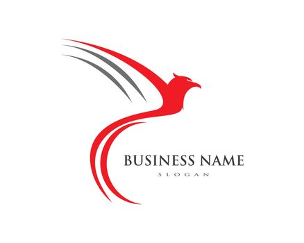 Falcon Eagle Bird Logo Template vector icon