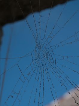 Spider web against blue sky. Spider web with bold threads on the window.