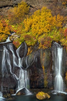Hraunfossar waterfall in Iceland. Autumn colorful landscape
