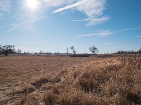 Alone fields against blue sky. Trees in a distance. Landscape scene of a field with blue sky and whites clouds and trees in a background. Sunny winter landscape scene.