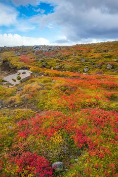 Beautiful nature landscape of Iceland in autumn