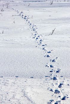 Day view of human traces on snow in the field. Vertical view