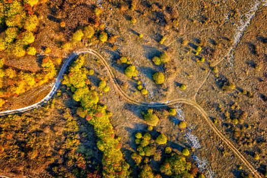 aerial top view from drone of park autumn landscape with trees, colorful lawn, and walking path