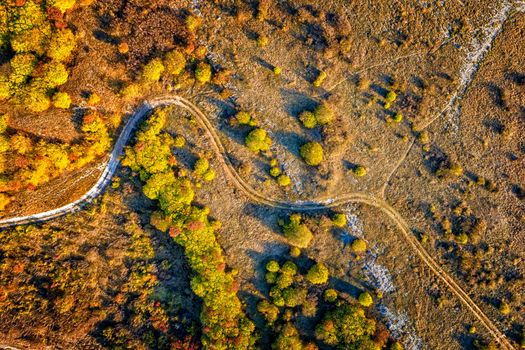 aerial top view from drone of park autumn landscape with trees, colorful lawn, and walking path