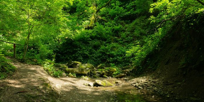 Mountain river among large stones in a green forest with small waterfalls. Sochi, Lazarevskoe, Berendeevo Tsarstvo, Russia