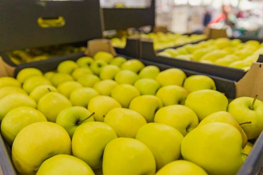 yellow apples packed in cardboard boxes close-up