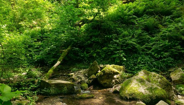 Mountain river among large stones in a green forest with small waterfalls. Sochi, Lazarevskoe, Berendeevo Tsarstvo, Russia