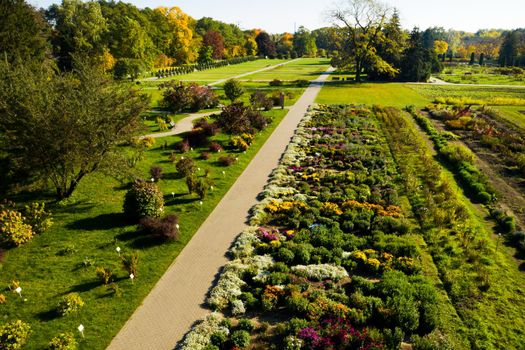 Top view of the autumn Minsk Botanical Garden. Belarus.