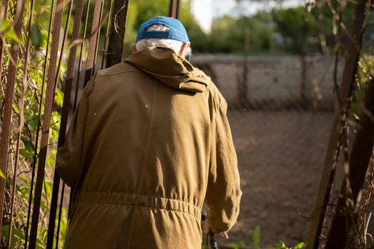 An elderly man in Russia in the garden. Old grandfather in the summer in a green jacket. A person walks in nature during the day. Light illuminates the man's back.