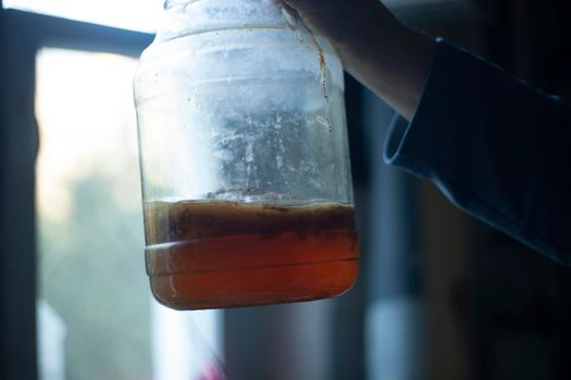 Kombucha in jar. Healing drink. Folk remedy. Mushroom in water.