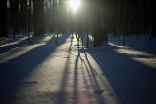 Snowy landscape. Shadows in snow, sun sets behind trees in winter. Natural background.