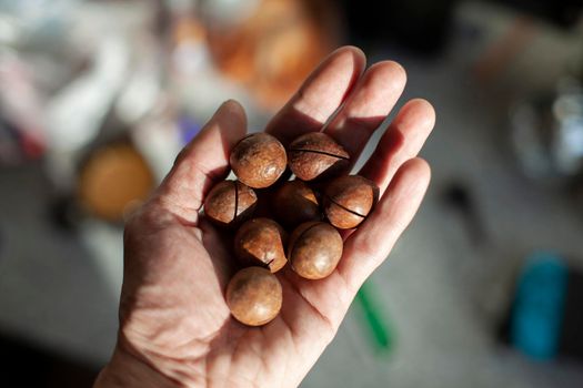 Sawed nuts in hand. Nuts contain vegetable proteins. Protein food.