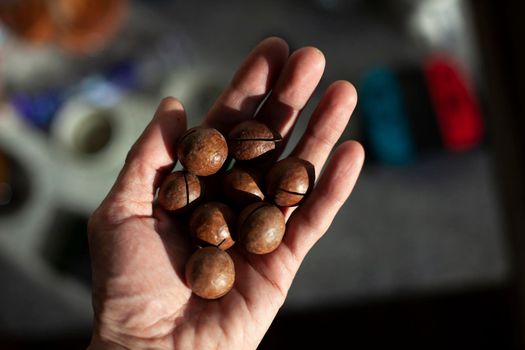 Sawed nuts in hand. Nuts contain vegetable proteins. Protein food.