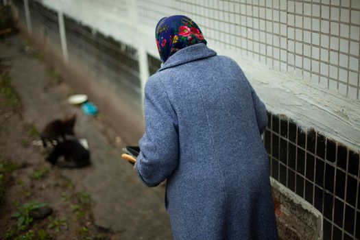 Retired woman in Russia. Elderly woman in Eastern Europe feeding cats. An old woman near the house in a warm coat takes care of homeless animals. Old age in life.