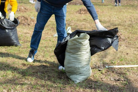 Cleaning the leaves in a bag. The gardener collects dry leaves. Yard cleaning. Collecting waste in a bag with your hands.