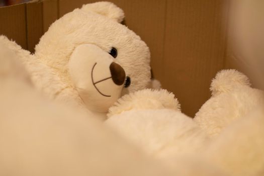 Teddy bear in box. Children's toy. Cute bear with white hair.