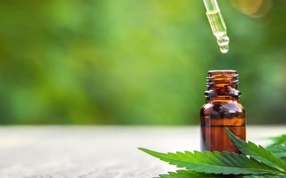 Cannabis essential oil in a small bottle. Selective focus. nature.