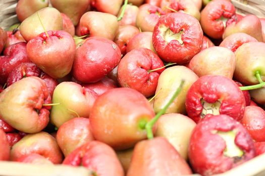 tasty and healthy java apple stock on farm for harvest