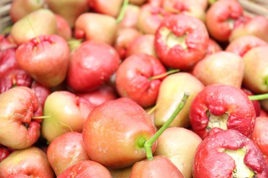 tasty and healthy java apple stock on farm for harvest