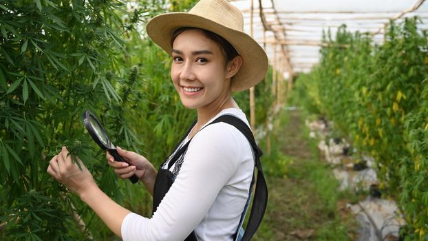 Portrait of young woman standing by hemp or cannabis field. Concept of cannabis plantation for medical.