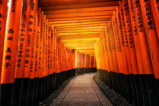 Kyoto, Japan - September 25 2018: Red Torii gates in Fushimi Inari Shrine in Kyoto, Japan. It is the famous landmark and tourist travel destination of Kyoto.