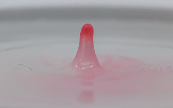 pink Water drop and splash creative forms  made