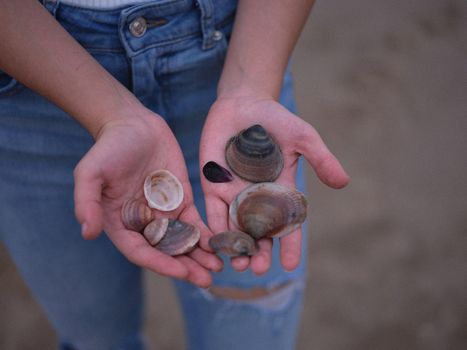 woman standing showing in her hands the shells she has collected from the beach, horizontal close up