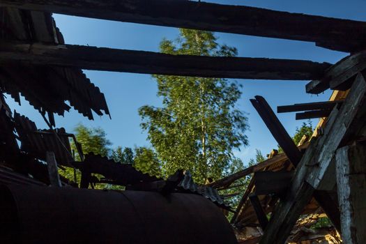 Old farm building under construction, wood roof broken view, green tree blury background