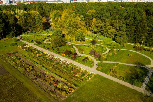 Top view of the autumn Minsk Botanical Garden. Belarus.