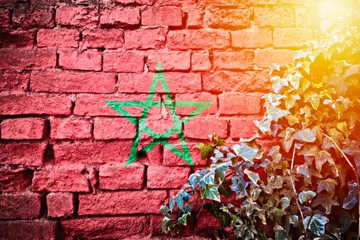 Morocco grunge flag on brick wall with ivy plant sun haze view, country symbol concept 

