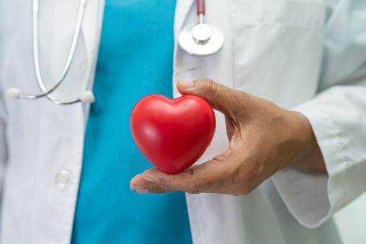 Doctor holding a red heart in hospital ward, healthy strong medical concept.