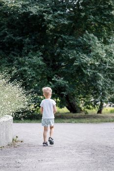 In the summer, a little boy got lost in a park, he looking for his parents.