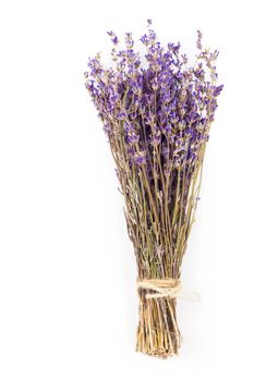bunch of dried lavender isolated on white background.
