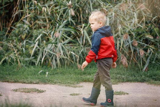 A cute boy with a red jacket and rubber boots walks in nature against a green background of tall grass.