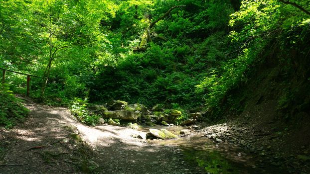 Mountain river among large stones in a green forest with small waterfalls. Sochi, Lazarevskoe, Berendeevo Tsarstvo, Russia