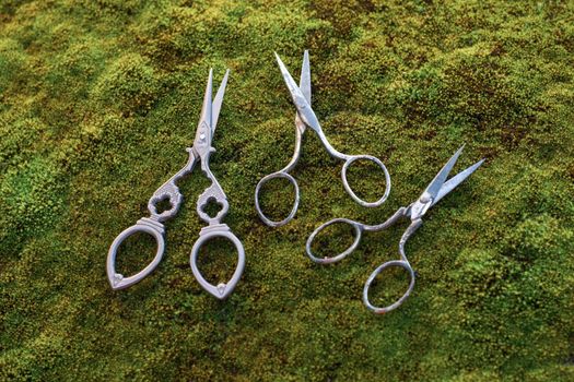 Old vintage scissors on mold