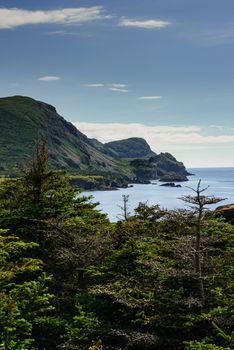 Newfoundland's rugged Atantic Coastline ocean view