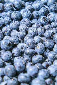 Blueberries fruit background. Water drops on ripe sweet blueberry. Collection of blue and black berries. Conceptual food image Superfood