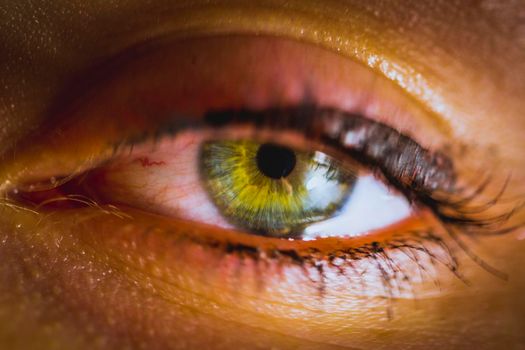 A beautiful green eye photographed at close.