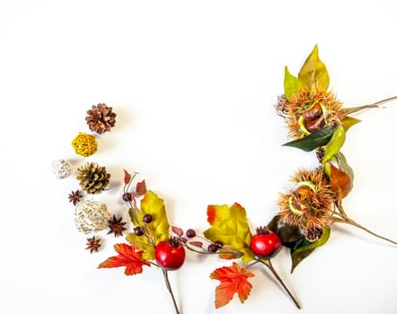 autumn leaves and Christmas decorations on a white background