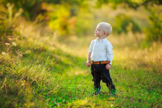little boy walking in the park