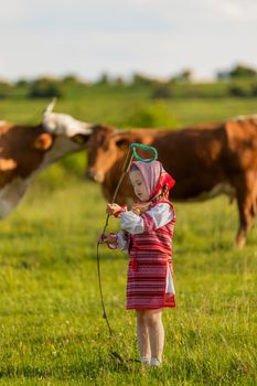 little girl grazing cows on the lawn