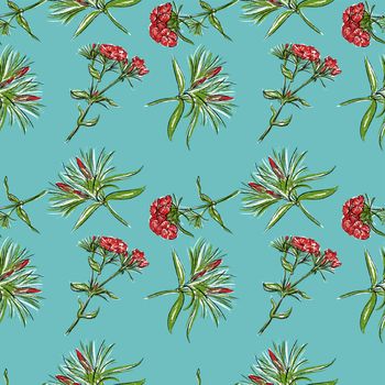 Seamless pattern. On a blue background, orange carnation flowers, rare.